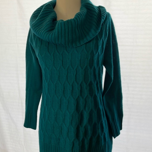 Women’s Willow Cowl Tangier Teal Turtleneck Sweater NWT Sz S - Picture 3 of 15
